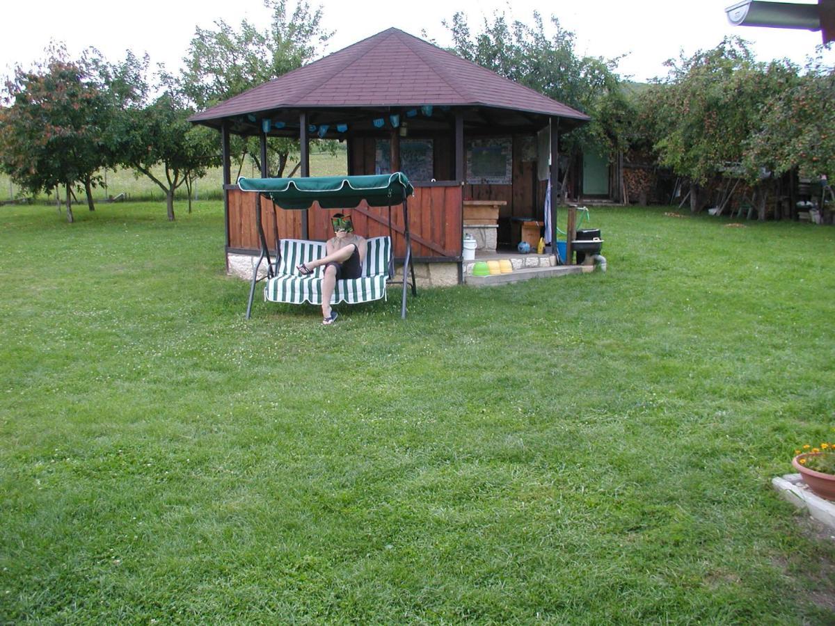 Hotel Penzion Dreveník Spišské Podhradie Exterior foto