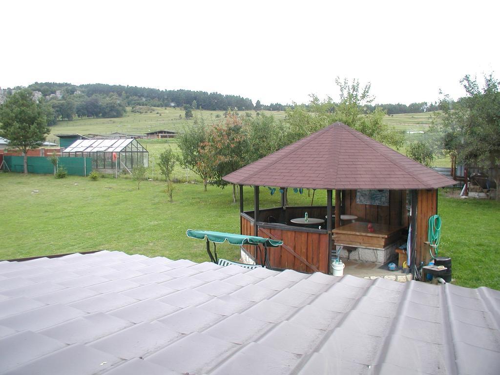 Hotel Penzion Dreveník Spišské Podhradie Exterior foto