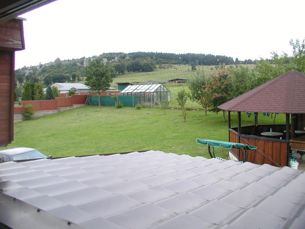 Hotel Penzion Dreveník Spišské Podhradie Exterior foto
